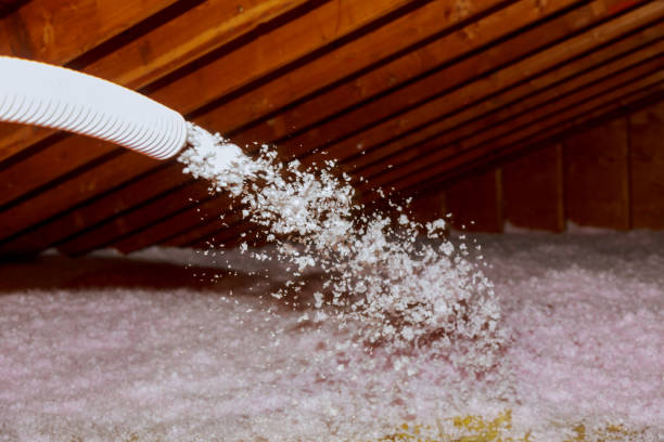 Best Insulation Installation Services in Mannington, WV